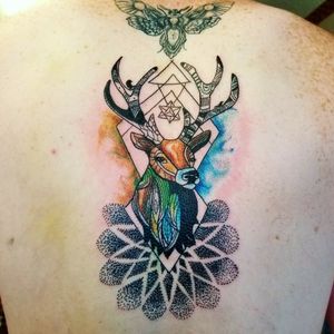 Watercolor geometric abstract stag