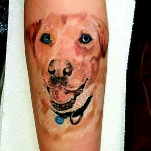 #doglovers #dogportriat #tattoodo @alaskatattoos #colortattoo #inked #inkedlifestyle