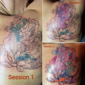 #coverup #koifish #color 