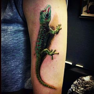 My first tattoo! #tattoo #firsttattoo #lizard #reptile #gecko #colour #colourtattooart #colourtattoo #realism #realistic #realistictattoo #realistictattoos