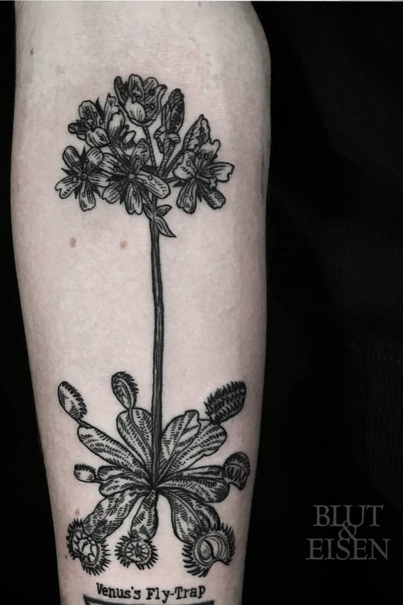 venus flytrap tattoo black and white