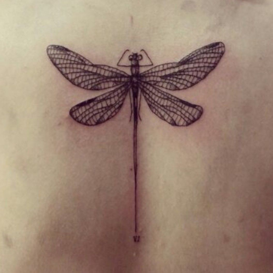 Celtic Dragonfly and Shamrock Tattoo  Tattoo Ideas and Inspiration  Dragonfly  tattoo design Dragonfly tattoo Celtic tattoo for women