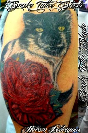 https://www.facebook.com/heramtattooTatuador --- Heram RodriguesNUBIA TATTOO STUDIOViela Carmine Romano Neto,54Centro - Guarulhos - SP - Brasil Tel:1123588641 - Nubia NunesCel/Wats- 11965702399Instagram - @heramtattoo #heramtattoo  #tattoos #tatuagem #tatuagens  #arttattoo #tattooart   #guarulhostattoo #tattoobr #art #arte #artenapele #uniãoarte #tatuaria  #SaoPauloink #NUBIAtattoostudio #tattooguarulhos #Brasil #tattoostylle #lovetattoo  #Litoralnorte #SãoPaulo  #tattoosheram   #heramrodrigues #tattoobrasil  #tattoogirl #tattoocolorida #tattoogato #gatotattoo #tattoocathttp://heramtattoo.wix.com/nubia
