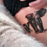 Elefantes en las costillas #tattooartist #tattoo #allkarima #elephant #blackandgrey 