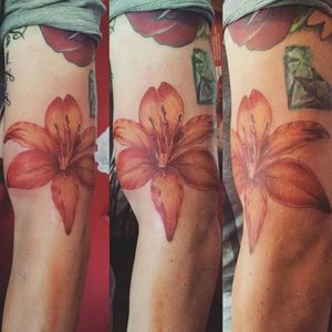 #tattooartist  #tattoo #realistic #realismo #allkarima  #liriusflowers 