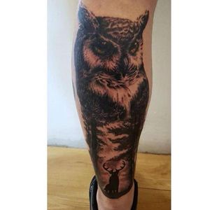 Black and Gray Owl 