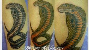 https://www.facebook.com/heramtattooTatuador --- Heram RodriguesNUBIA TATTOO STUDIOViela Carmine Romano Neto,54Centro - Guarulhos - SP - Brasil Tel:1123588641 - Nubia NunesCel/Wats- 11965702399Instagram - @heramtattoo #heramtattoo #tattoos #tatuagem #tatuagens  #arttattoo #tattooart  #guarulhostattoo #tattoobr #art #arte #artenapele #uniãoarte #tatuaria  #SaoPauloink #NUBIAtattoostudio  #tattooguarulhos #Brasil #tattoostylle #lovetattoo  #Litoralnorte #SãoPaulo   #tattoosheram  #heramrodrigues #tattoogirl #tattoocolorida#snaketattoo #tattoosnakehttp://heramtattoo.wix.com/nubia