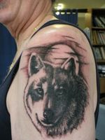 #wolf #wolftattoo 