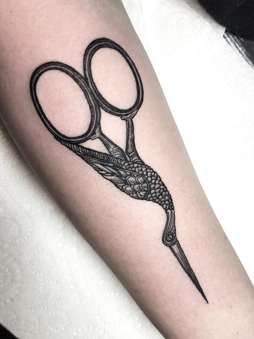 My Stork Scissors Tattoo maybe with a steelhead instead of stork  Scissors  tattoo Tattoos Body art