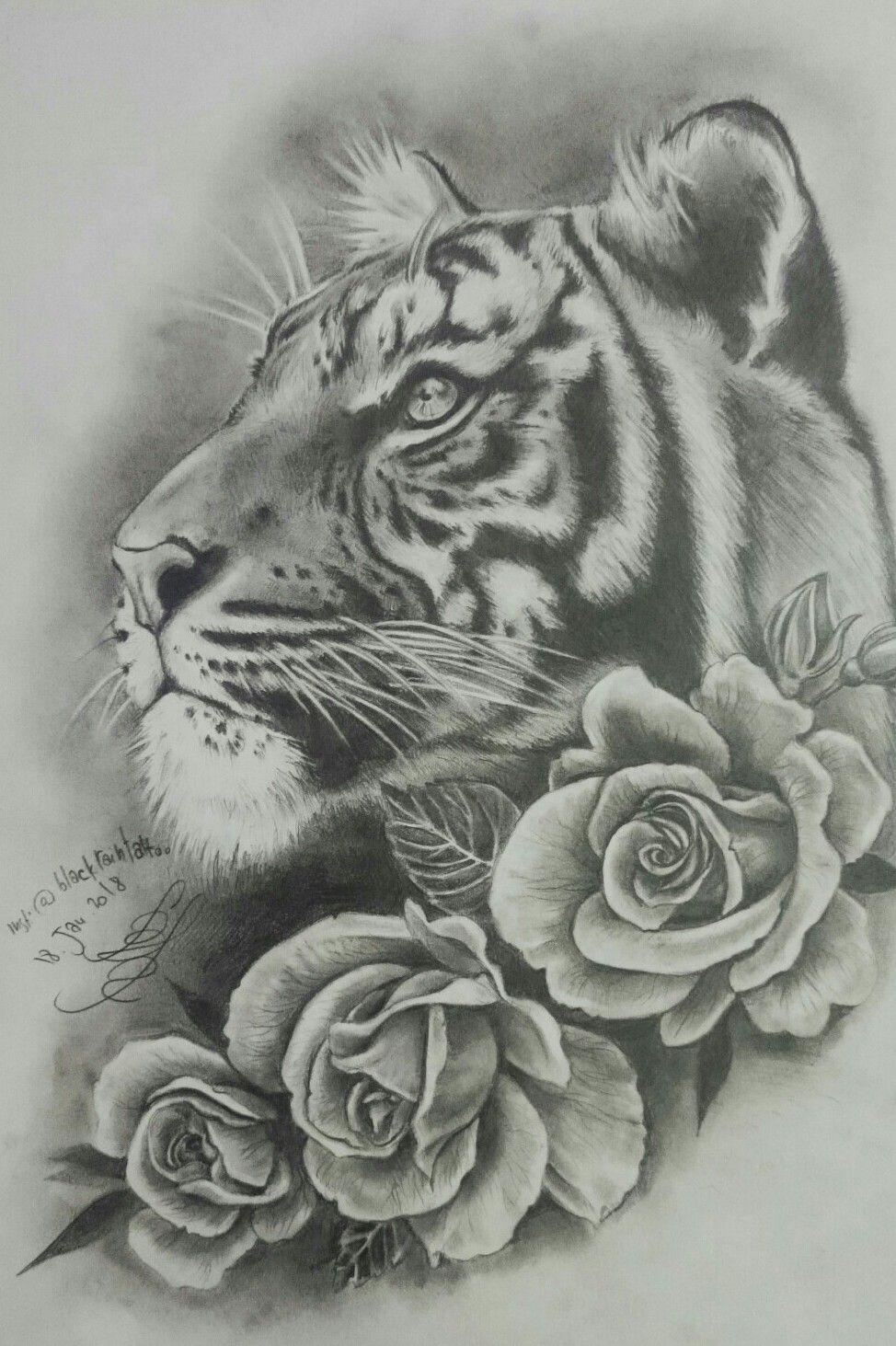 Tiger tattoo design image Royalty Free Stock SVG Vector