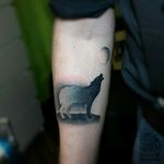 #tattoodo #wolf #wolftattoo #blackworkers_tattoo #black #blacktattoos #tattoo #tattoospb #sorestudio #sorestore #gradient #tattooworkers #wolftattoo #tattooart #tattooartist #animal #tattoos #ink 