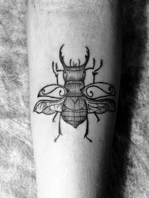 blackwork beetle #insect #blackwork #blackworktattoo 