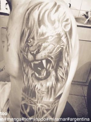 #lion#miramar#argentina