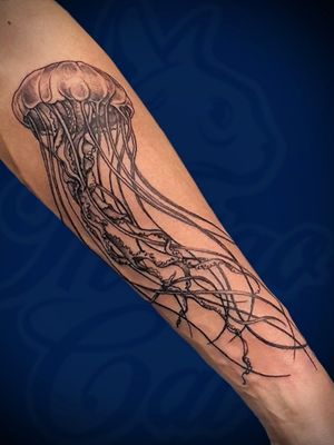 Jellyfish 🤗💜🇬🇪 by @nino_tattooist @fkirons @eztattooing ⚜#tattoostudio #indigocat #tbilisi #georgia #fkirons #intenzeink #eztattooing #tattoo #tattooed #tattooartist #tattooart #tattoostyle #sleevetattoo #armtattoo #jellyfish #jellyfishtattoo #tattoodo #tattoos #inked #artistictattoo #tattoodesign #skinart #skinartmag #inkedmag #tattoomag #tattoocollector #tattoosociety #inkedpeople #inkedup #doit