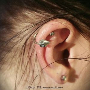 Пирсинг пинна уха. Украшение для пирсинга циркуляр из хирургической стали 316L. Студия художественной татуировки и пирсинга Evolution. www.evotattoo.ru. Тел./WhatsApp:8(925)5143553. #piercing #ear_pircing #ear #helix #lobe #body_piercing #piercing_pinna #pinna #пирсинг #пирсинг_пинна #пирсинг_хеликс #хеликс #проколоть_ухо #прокол_хряща #прокол_уха #украшения_для_ушей #украшения_ухо #полукольца #салон_тату_evolution @tat2atom