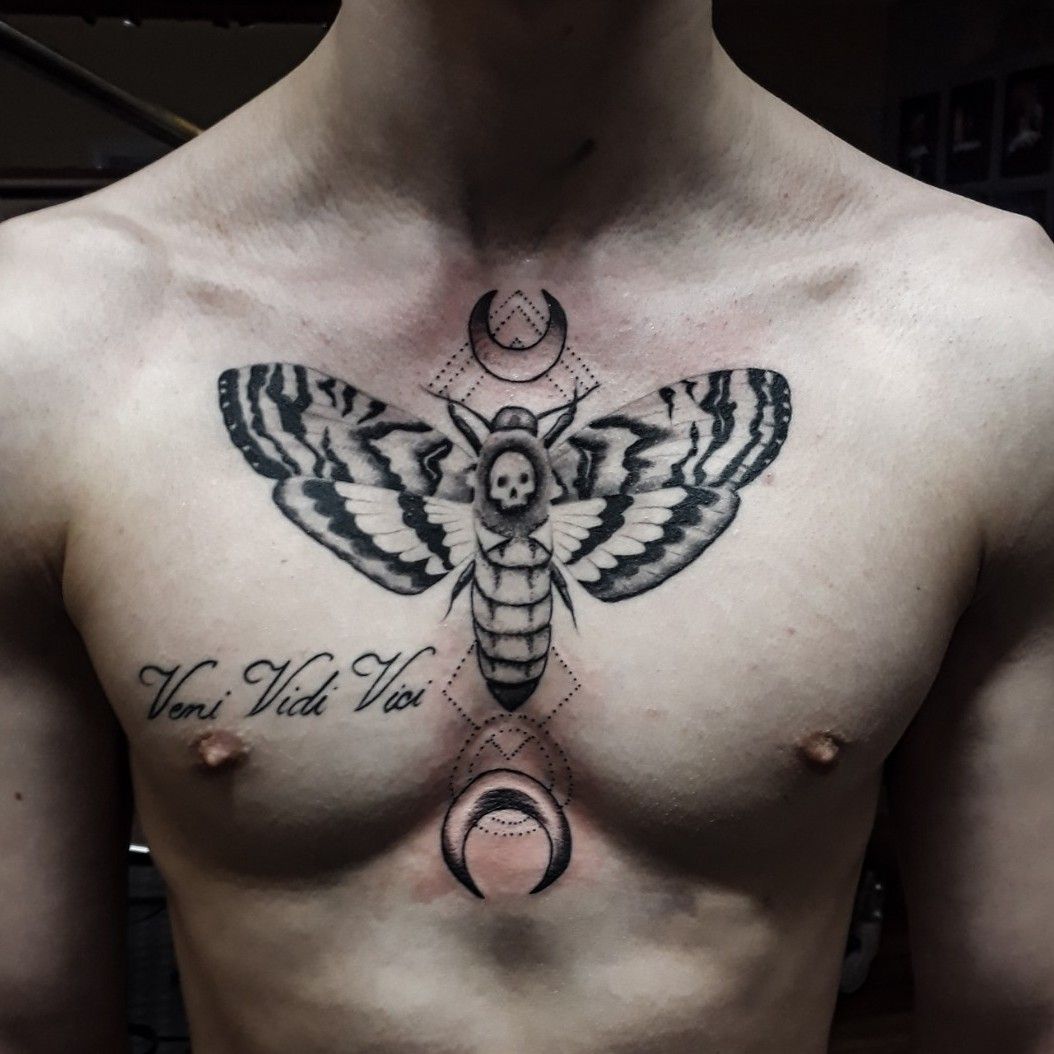 chest luna moth tattoo man  Google Search  Tatouage de phalène Idées de  tatouages Tatouage homme