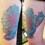 Betta fish tattoo on back of arm by Christina Haller at Big Bear Tattoo #colortattoo #color #brighttattoos #betta #bettafish #arm #armtattoo #armtattoos 