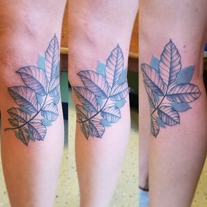 Knee tattoo by Christina Haller at Big Bear Tattoo #leavestattoo #leaves #blackandgrey #blackandgreytattoo #knee #kneetattoo #kneecaptattoo 