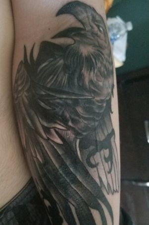 Cover up raven 
