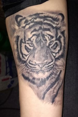 #tigertattoo #tattoo #tiger #twintattoo #withmymom 