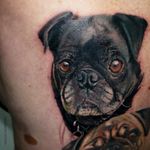 #sheridan #sheridantattoo #sheridanart #dog #portrait #pet #Australia #Melbourne #realism #realistic #tattoooftheday 