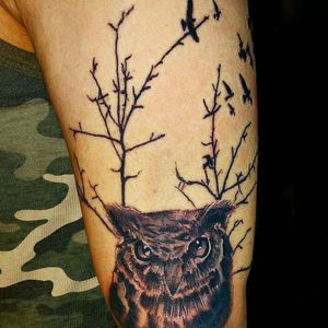 Owl tattooed 