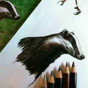 I finished my second realism practice today! This badger's fur was a fun challenge, I'm learning so much from doing these 😆 