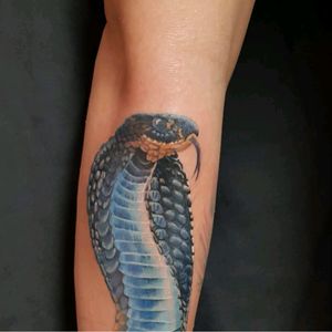 Cobra tatto