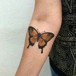 #butterfly #butterflytattoo #borboleta #orange #details