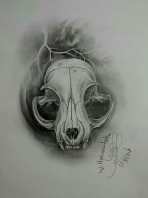 Bobcat's skull #skulltattoo #skull #bobcat #ukrainianartist #odessatattoo #tattoodesign @blackraintattoo 