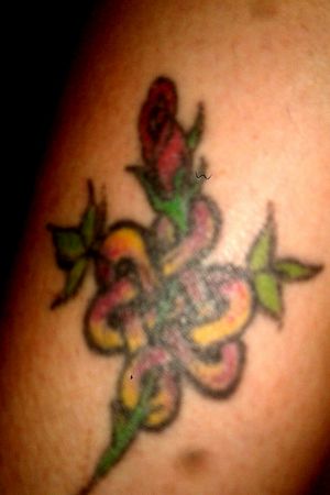 Celtic knot with rose intertwined 