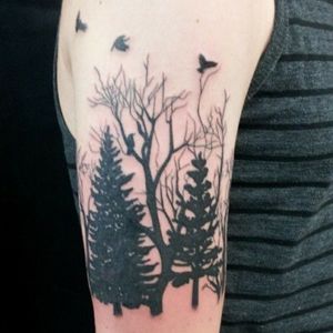 Trees and birds