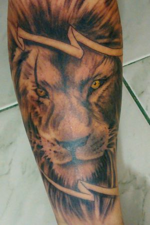 #Leão #Lion #ReiSelva 