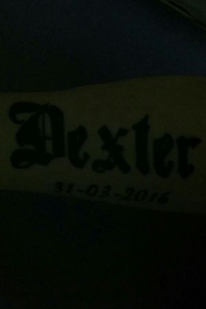 My sons name and date of birth 