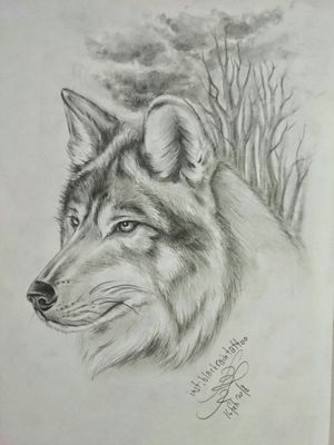 Wolf #wolftattoo #woslf #wolves #blackandgrey #tattoodesign #Odessa #ukrainianartist #ukrainetattoo #Ukraine @blackraintattoo 