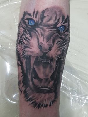 Blue eyed tiger tattoo down in south korea 