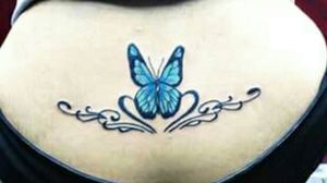 Blue butterfly. Mariposa azul
