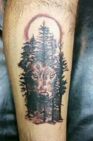 Pine wolf. Pinos con lobo.