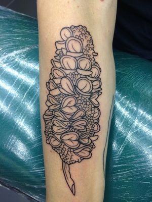 Banksia tattoo by clareketon
