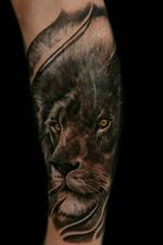 #liontattoo #lion #kingofthejungle #tattoooftheday #blackandgrey #realistictattoo #legtattoo #malditoduende Tattoo 