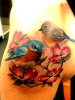 #tattoooftheday #birds #bluebirds #animals #realism #flowers #color #colortattoo #detail #artistofpain