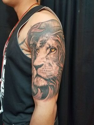 Lion tattoo i did in black and grey tattoo