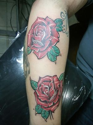 New traditional roses