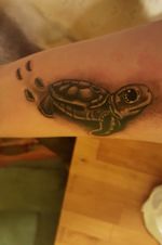My little turtle. 🐢