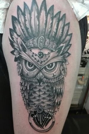 Owl tribe 