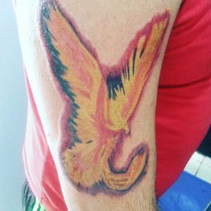 #fenix #colortattoo  