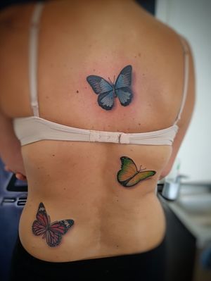 Realistic color butterfly.