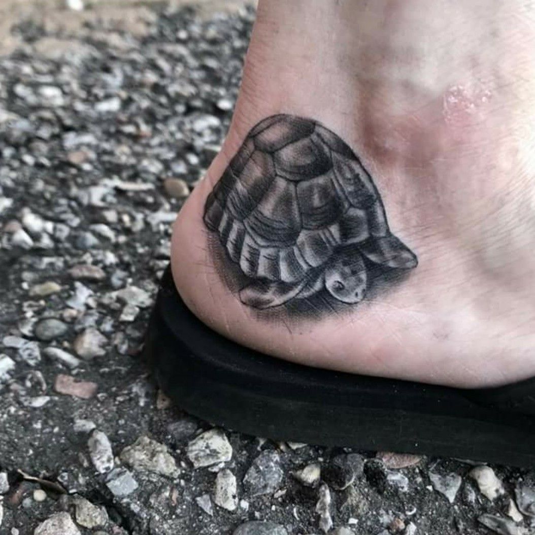 Box Turtle Tattoo Stencil Images  Free Download on Freepik