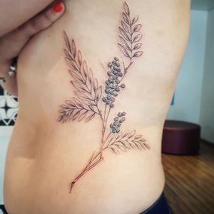 #blackworktattoo #maoristyle  #sptattoo  #tattoo #brasiltattoo  #marcosavetattoo #tattoodo #customtattoo #botanic  #botanicaltattoo  #sacredgeometry  #linework  #dotwork  #blacktattoo