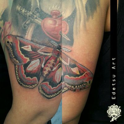 #moth #butterfly #swag #naturetattoo #insecttattoo #wingstattoo #mothtattoo #ladytattooer 